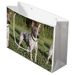American_Hairless_Terrier_full 2 Large Gift Bag
