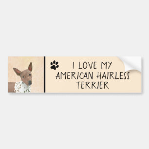 American Hairless Terrier Painting - Dog Art Bumper Sticker