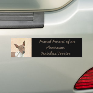 American Hairless Terrier Painting - Dog Art Bumper Sticker