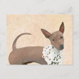 American Hairless Terrier Painting - Dog Art Postcard