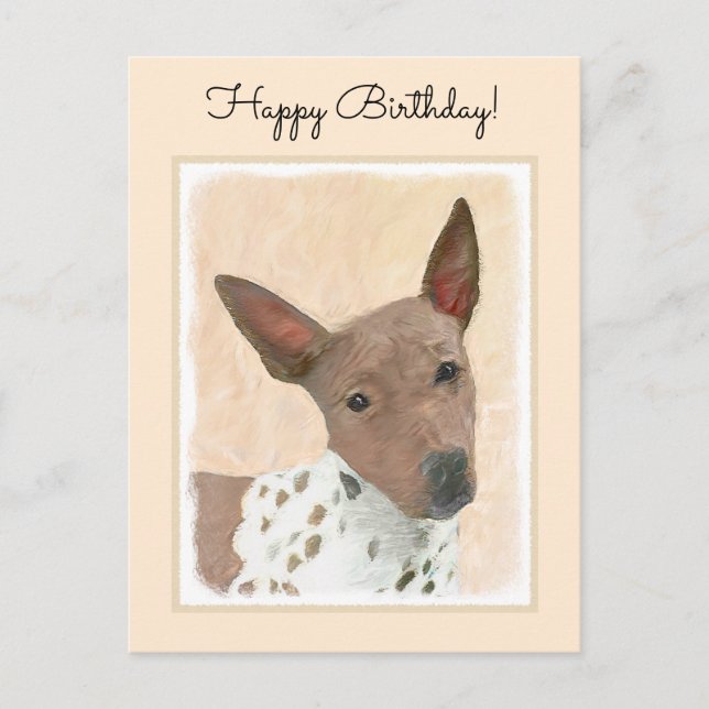 American Hairless Terrier Painting - Dog Art Postcard (Front)