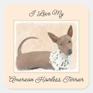 American Hairless Terrier Painting - Dog Art Square Sticker