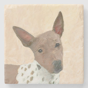 American Hairless Terrier Painting - Dog Art Stone Coaster