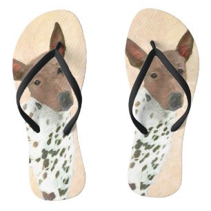 American Hairless Terrier Painting - Dog Art Thongs