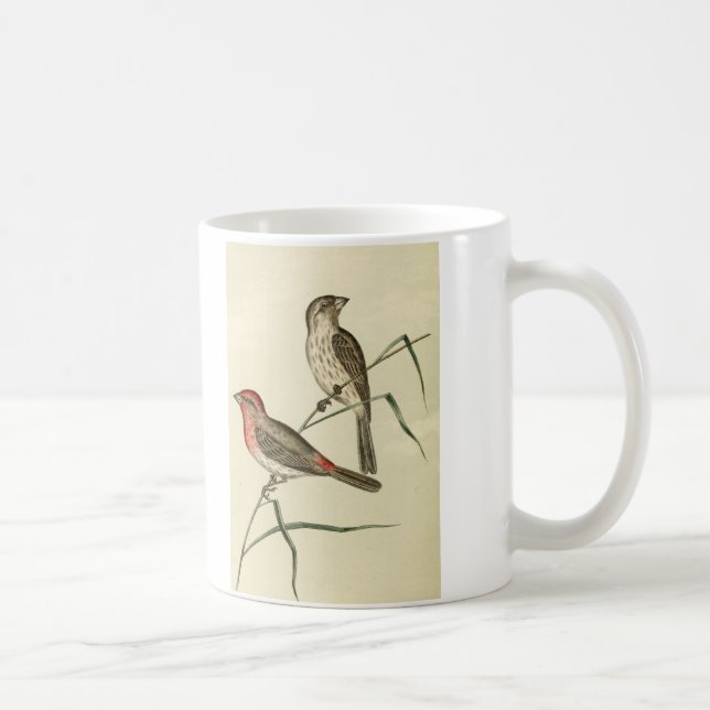 American House Finch Coffee Mug (Right)