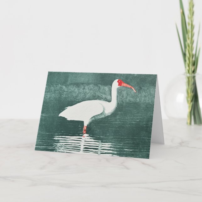 American Ibis Folded Note Card (Front)