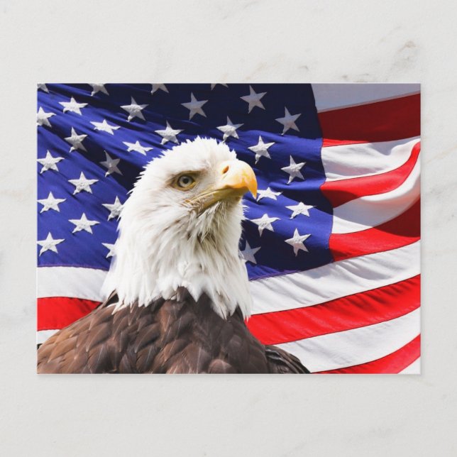 american independence postcard (Front)