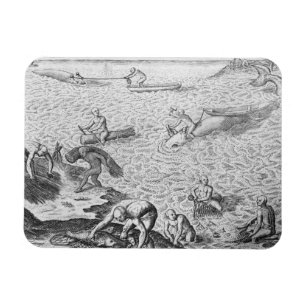 American Indian method of whaling, from an account Magnet