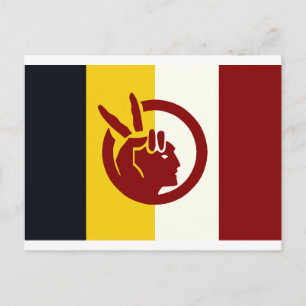 American Indian Movement flag Postcard