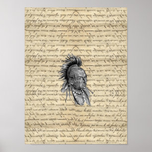 American Indian Poster