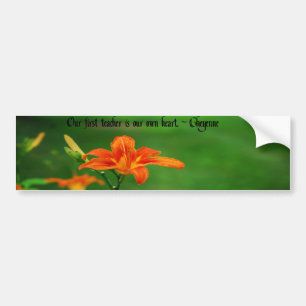American Indian Proverb Bumper Sticker