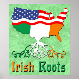 American Irish Roots   Poster