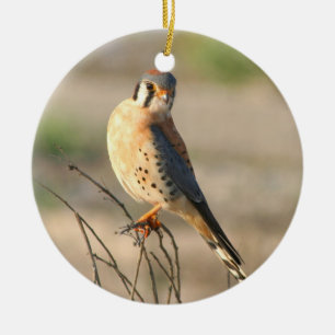 American Kestel Ceramic Ornament