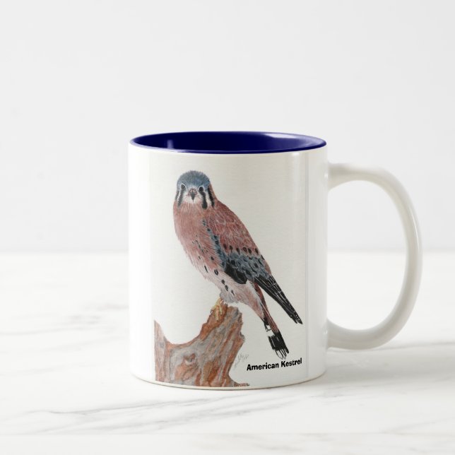 American Kestrel, American Kestrel Two-Tone Coffee Mug (Right)