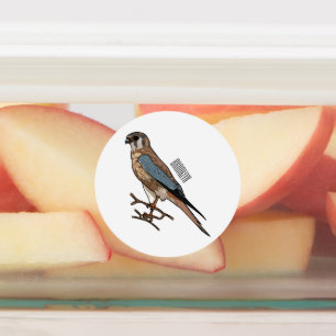 American kestrel bird cartoon illustration