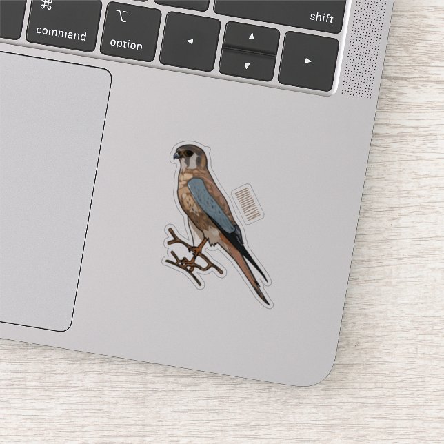 American kestrel bird cartoon illustration  (Detail)