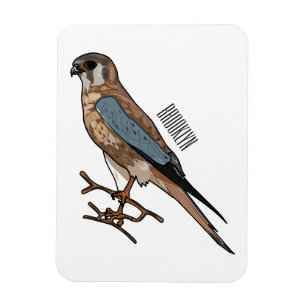 American kestrel bird cartoon illustration magnet