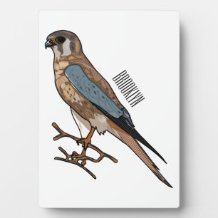 American kestrel bird cartoon illustration  plaque