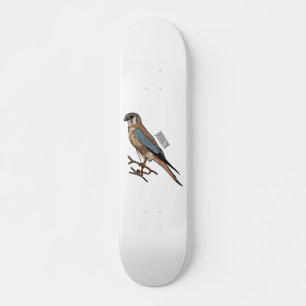 American kestrel bird cartoon illustration  skateboard