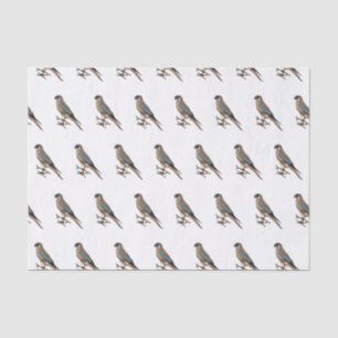 American kestrel bird cartoon illustration  tissue paper