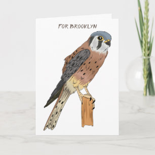 American Kestrel bird illustration Card