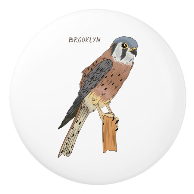 American Kestrel bird illustration Ceramic Knob (Front)