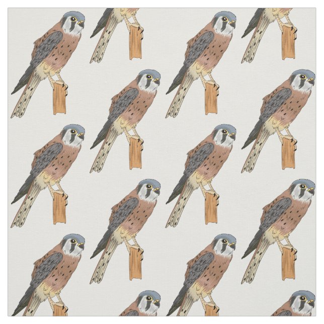 American Kestrel bird illustration  Fabric (Swatch)
