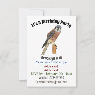 American Kestrel bird illustration  Invitation