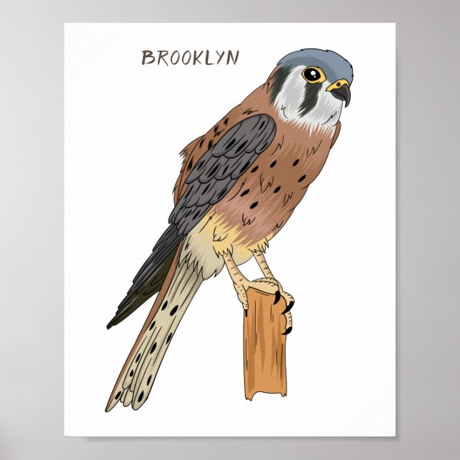 American Kestrel bird illustration Poster (Front)