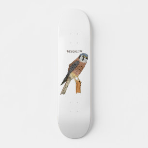 American Kestrel bird illustration  Skateboard