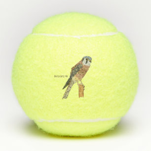 American Kestrel bird illustration Tennis Balls
