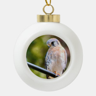 American Kestrel Ceramic Ball Christmas Ornament
