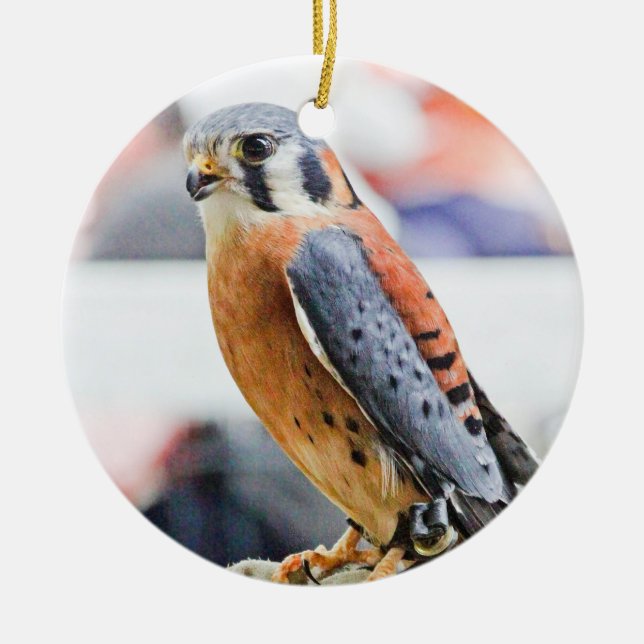 American Kestrel Ceramic Ornament (Front)