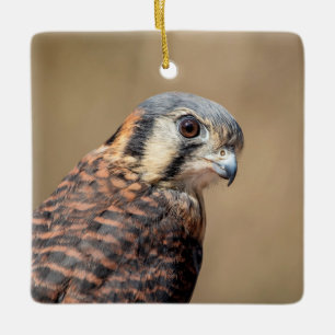 American Kestrel Ceramic Tree Decoration