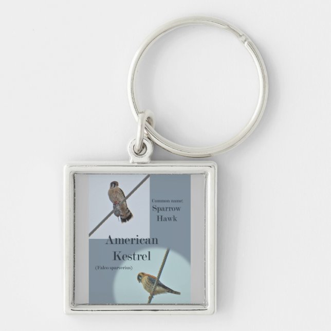 American Kestrel (Falco sparverius) Items Key Ring (Front)