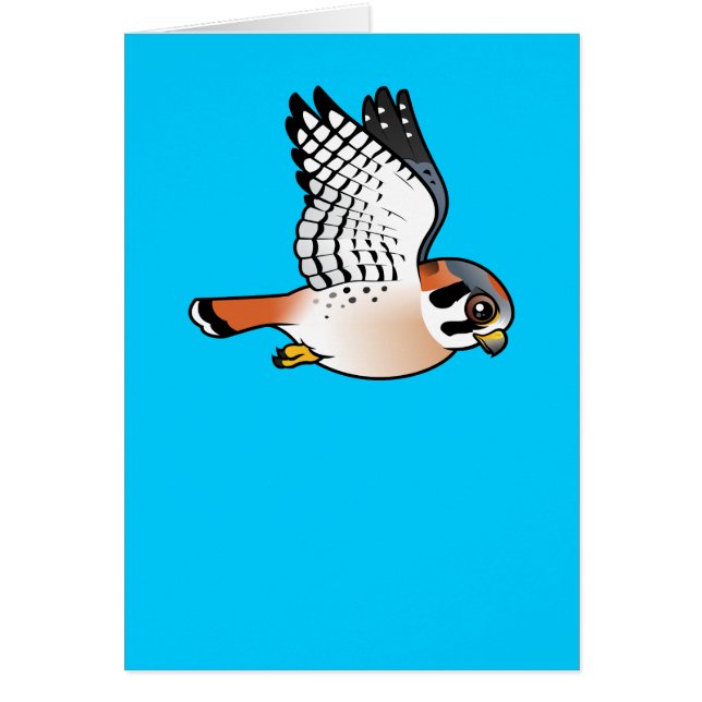 American Kestrel in flight (Front)