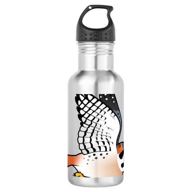 American Kestrel in flight 710 Ml Water Bottle (Front)