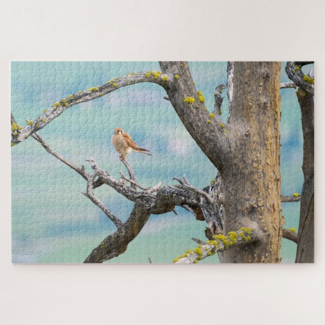 American Kestrel Jigsaw Puzzle (Horizontal)