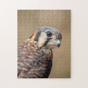 American Kestrel Jigsaw Puzzle
