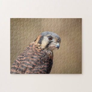 American Kestrel Jigsaw Puzzle