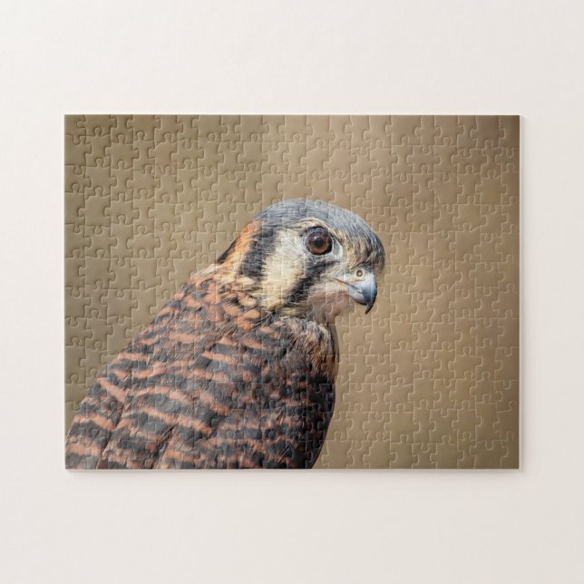 American Kestrel Jigsaw Puzzle (Horizontal)