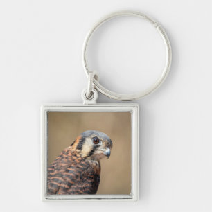 American Kestrel Key Ring