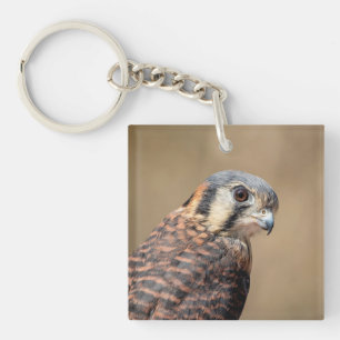 American Kestrel Key Ring