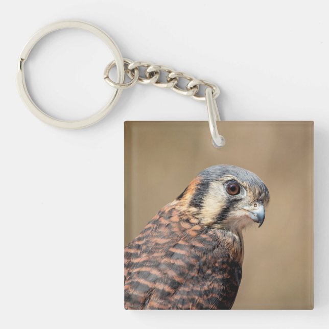 American Kestrel Key Ring (Front)