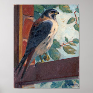 American Kestrel – Kulhanek Wildlife (1942) Poster