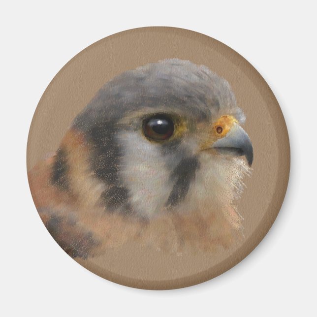 American Kestrel Magnet (Front)