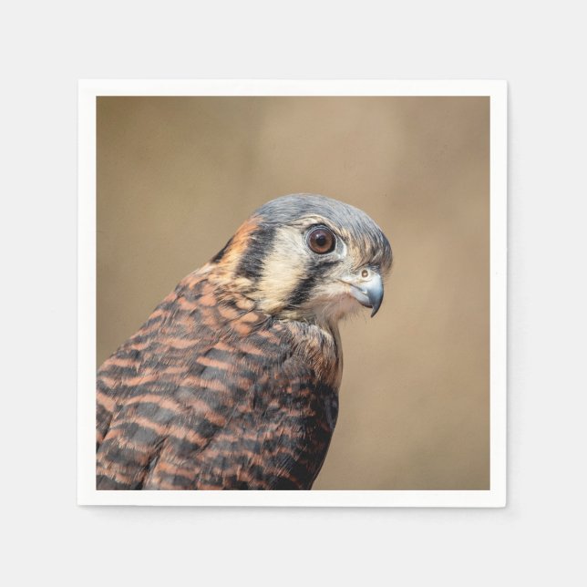 American Kestrel Napkin (Front)