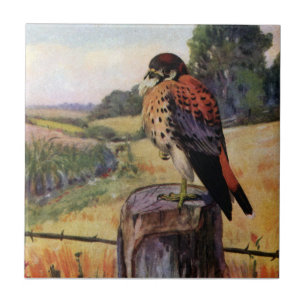 American Kestrel on a Barbed Wire Fence Ceramic Tile
