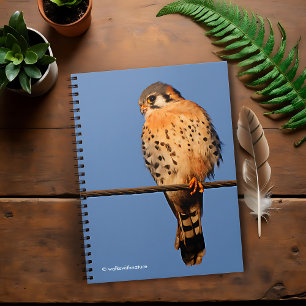 American Kestrel on a Wire Notebook