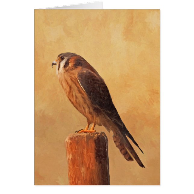 American Kestrel Painting - Original Bird Art (Front)